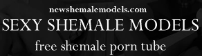 New Shemale and Ladyboy Categories
